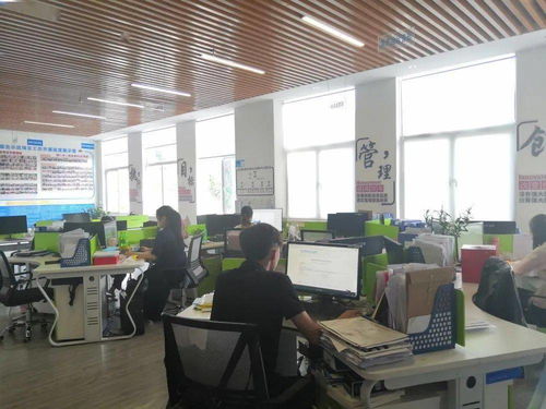 保亭縣電子商務公共服務中心誠邀英才，共促商務信息咨詢服務發(fā)展